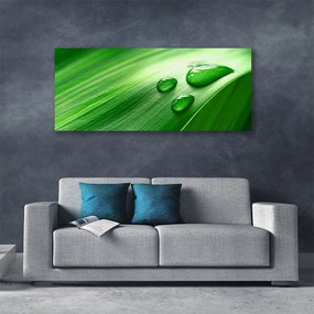 Duży obraz na płótnie Perlista Rosa na Liściu