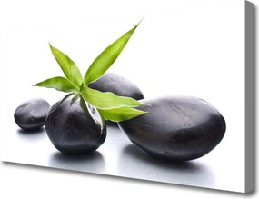 Obraz na płótnie Duet Kamienia i Liścia