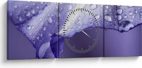 Obraz - Płatek z kroplami (z zegarem) (90x30 cm)