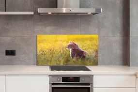 Panel szklany do Kuchni Kot w Trakcie Polowania