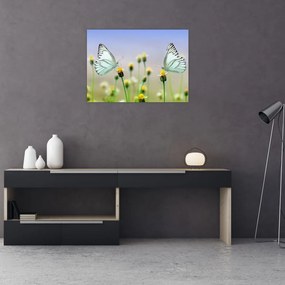 Obraz motyli na kwiatku (70x50 cm)