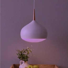 Eglo 97087 - LED RGBW ściemnialna lampa wisząca COMBA-C LED/18W/230V