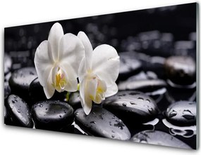 Panel Szklany do Kuchni Biały Storczyk w Klimacie Zen