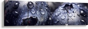 Obraz owoców z kroplami wody (170x50 cm)