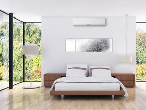 Obraz - Zimowa aleja (170x50 cm)