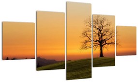 Obraz zachodu słońca na łące (125x70 cm)
