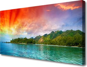 Obraz canvas Brzeg Lasu nad Bałtykiem