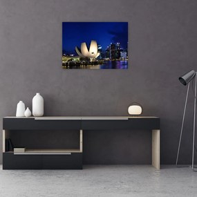 Obraz Singapuru nocą (70x50 cm)