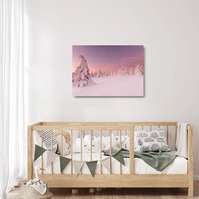 Obraz na szkle - Drzewa pod warstwą śniegu (70x50 cm)