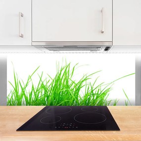 Panel Szklany do Kuchni Detale Zielonej Natury