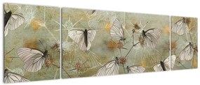 Obraz - Vintage motyle (170x50 cm)