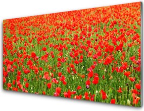 Panel Szklany Krwistoczerwone Maki