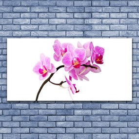 Obraz na płótnie Polne Kwiaty w Słońcu