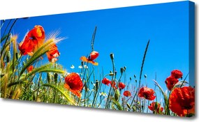 Obraz canvas Polna Łąka Pełna Maków