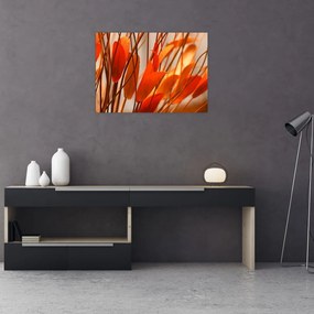 Obraz płatków kwiatów (70x50 cm)