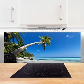 Panel Szklany Rajskie Wybrzeże pod Palmami