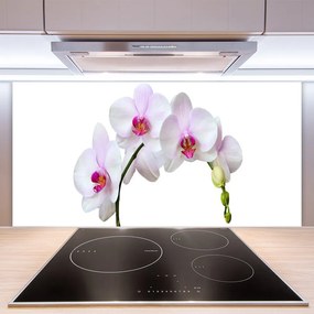 Szkło do Kuchni na Ścianę Szlachetny Kwiat Storczyka