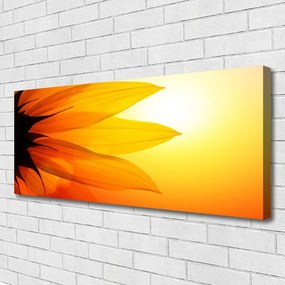 Zdjęcie na płótnie Piękno Natury: Kwiat