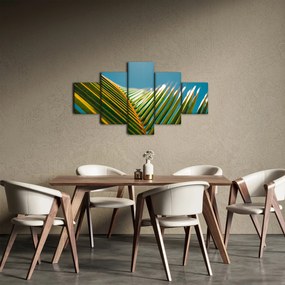 Obraz - Detal liścia palmowego (125x70 cm)