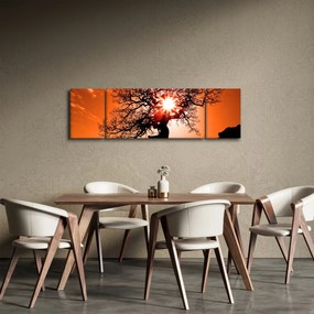 Obraz - Dąb o zachodzie słońca (170x50 cm)