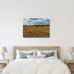Obraz na szkle - zebrane pole zboża (70x50 cm)
