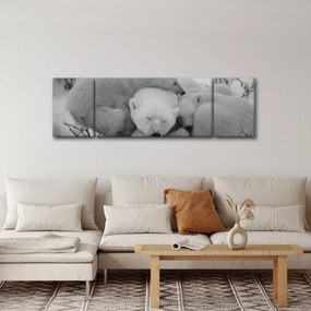 Obraz - Niedźwiadki polarne, czarno - biały (170x50 cm)