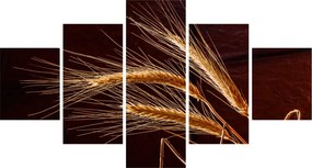 Obraz - Fragment kłosa żyta (125x70 cm)
