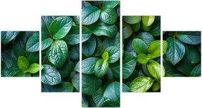 Obraz - Rośliny zielone (125x70 cm)