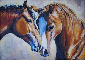 Obraz na szkle - Zakochane konie (70x50 cm)