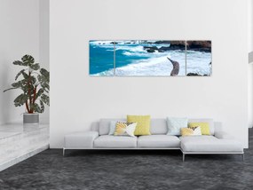 Obraz - głuptak niebieskonogi (170x50 cm)