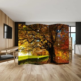Parawan - Jesienne drzewo (210x170 cm)