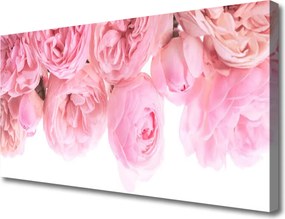 Fotoobraz na płótnie Aksamitne Róże w Ogrodzie