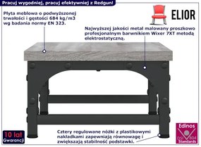 Półka na biurko pod monitor szary dąb - Redgun 3X