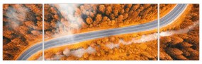 Obraz - Górska droga (170x50 cm)