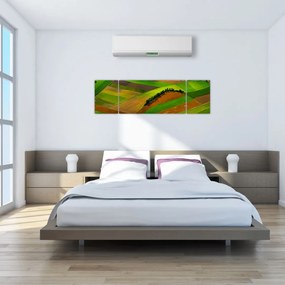 Obraz - Pola, łąki (170x50 cm)