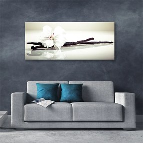 Obraz canvas Subtelna Elegancja Kwiatu