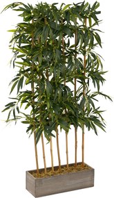 Bambus w dekoracyjnej skrzyni 155 cm