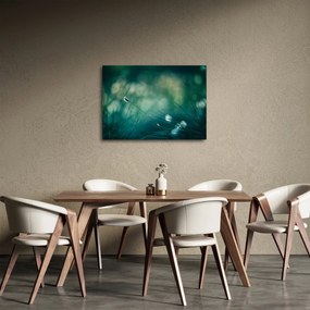 Obraz - Szczegół trawy (70x50 cm)