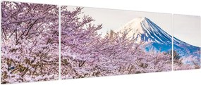 Obraz - Japonia wiosną (170x50 cm)