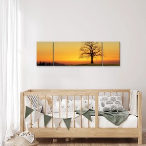 Obraz drzewa na polu (170x50 cm)