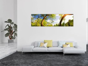 Obraz wiosennej łąki (170x50 cm)
