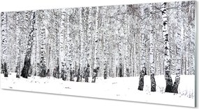 Szklany Panel Zimowy Las Brzozowy