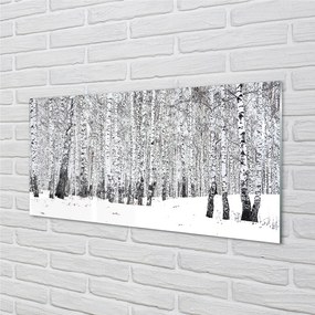 Szklany Panel Drzewa zima śnieg brzozy