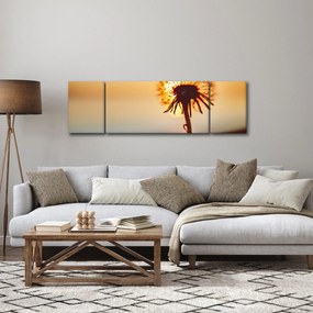 Obraz dmuchawca o zachodzie słońca (170x50 cm)