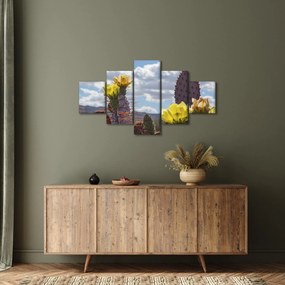 Obraz opuncji (125x70 cm)