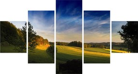 Obraz - Górska łąka (125x70 cm)