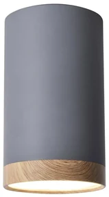 LED Plafon TUBA LED/9W/230V