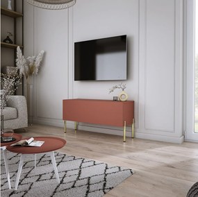 Szafka RTV: Ceglasty, 100 x 52 x 32 cm, złote nogi