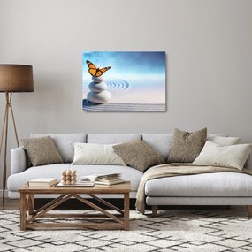 Obraz na szkle - Ogród zen (70x50 cm)