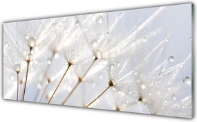 Szkło do Kuchni na Ścianę Puszysty Mniszek Lekarski